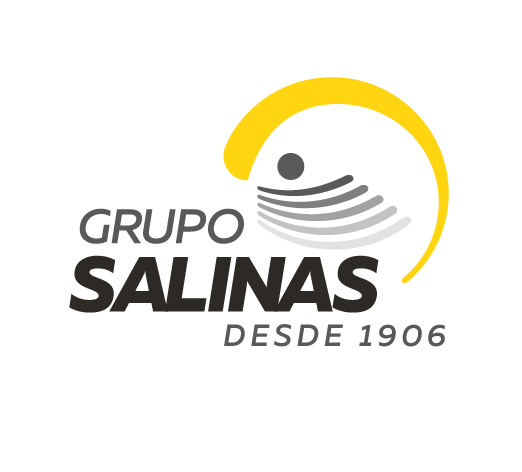 Grupo Salinas